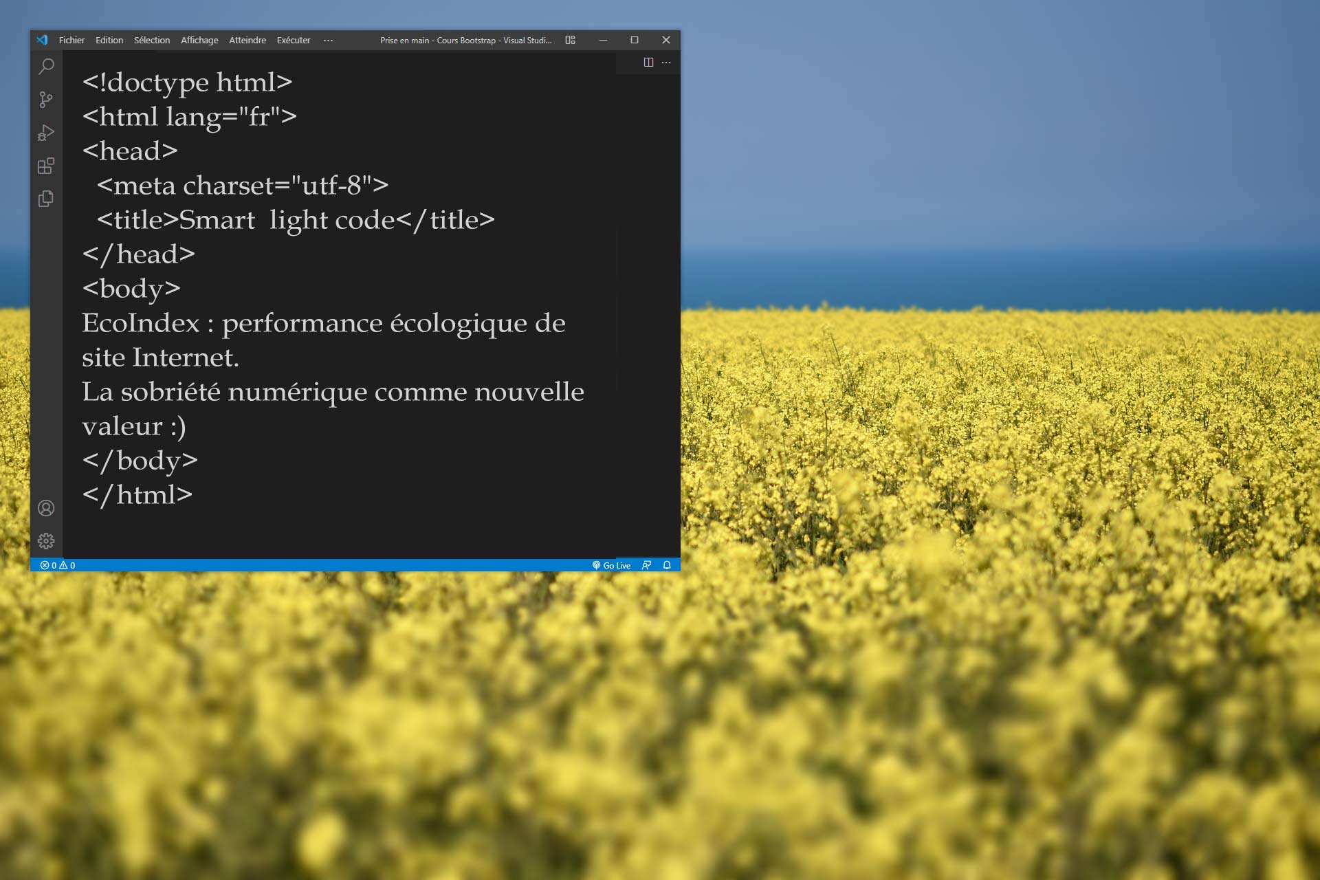EcoIndex : performance écologique de site Internet